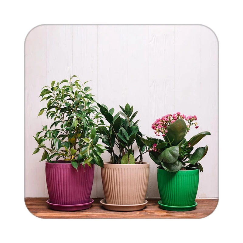 زیر لیوانی کاکتی طرح گل مدل mp17796