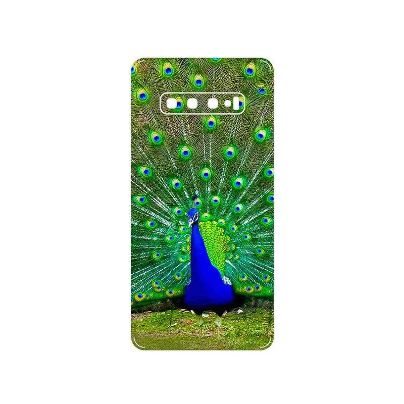 برچسب پوششی ماهوت مدل Peacock مناسب برای گوشی موبایل سامسونگ Galaxy S10 Plus