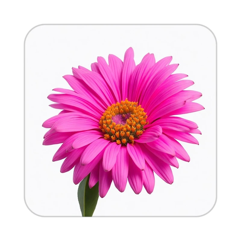 زیر لیوانی کاکتی طرح گل مدل mp18402