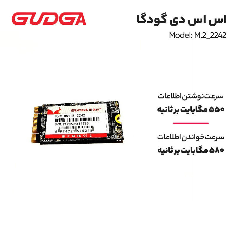 اس اس دی اینترنال گودگا مدل M.2_2242 ظرفیت یک ترابایت