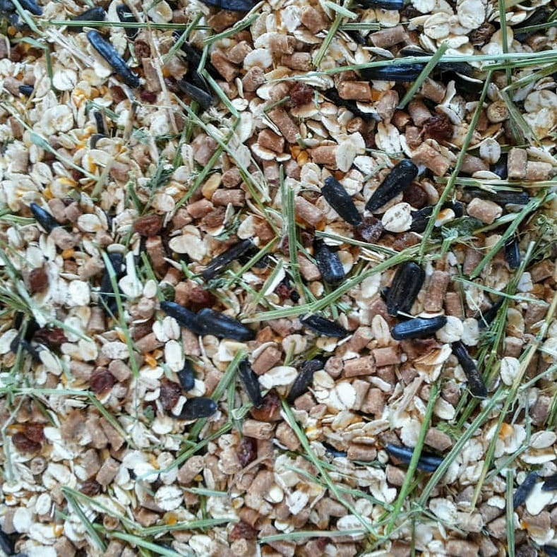 غذای اسب دیلایتد هورس مدل Maintenance-mix وزن 20 کیلو گرم