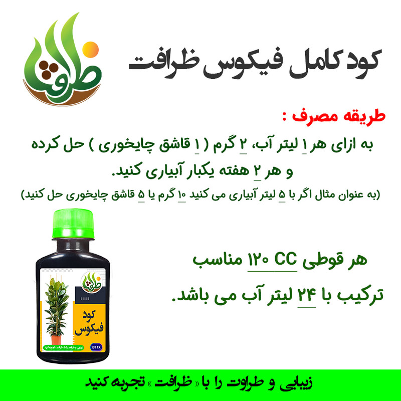 کود مایع فیکوس ظرافت مدل KO18907 حجم 125 میلی لیتر