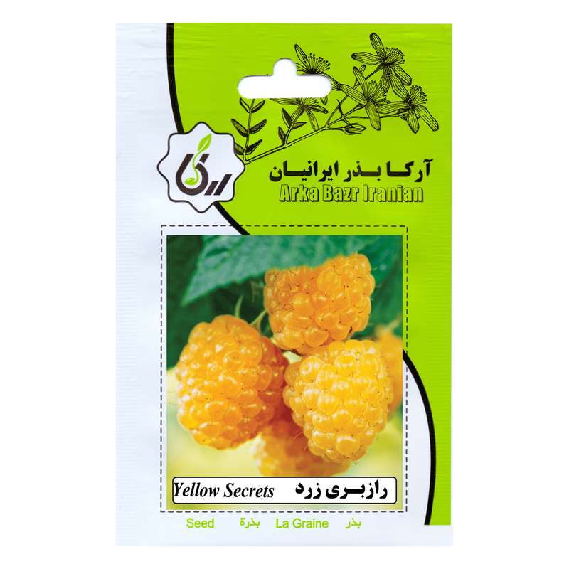 بذر میوه رازبری زرد آرکا بذر ایرانیان کد 37-ARK بذر میوه رازبری زرد آرکا بذر ایرانیان کد 37-ARK