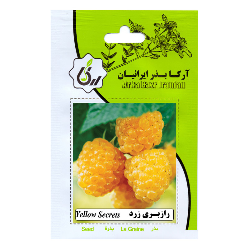 بذر میوه رازبری زرد آرکا بذر ایرانیان کد 37-ARK بذر میوه رازبری زرد آرکا بذر ایرانیان کد 37-ARK