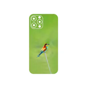 MAHOOT European bee-eater Cover Sticker for Apple iPhone 12 Pro Max