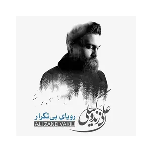 Non Recurring Music Album by Ali Zand Vakili
