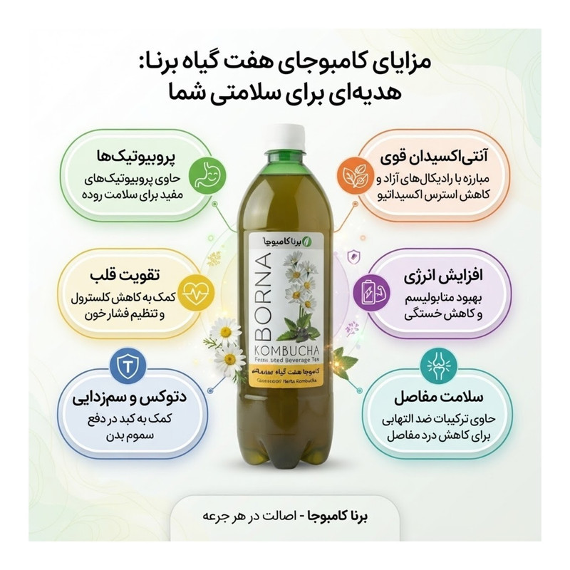 شربت هفت گیاه برنا کامبوجا - ۱ لیتر
