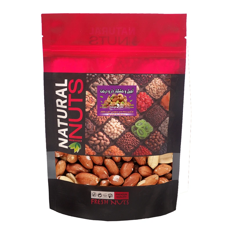 مغز بادام زمینی آستانه شور دارو درخت - 500 گرم