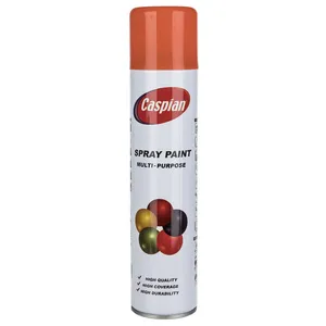 Caspian Orange Paint Spray 295gr