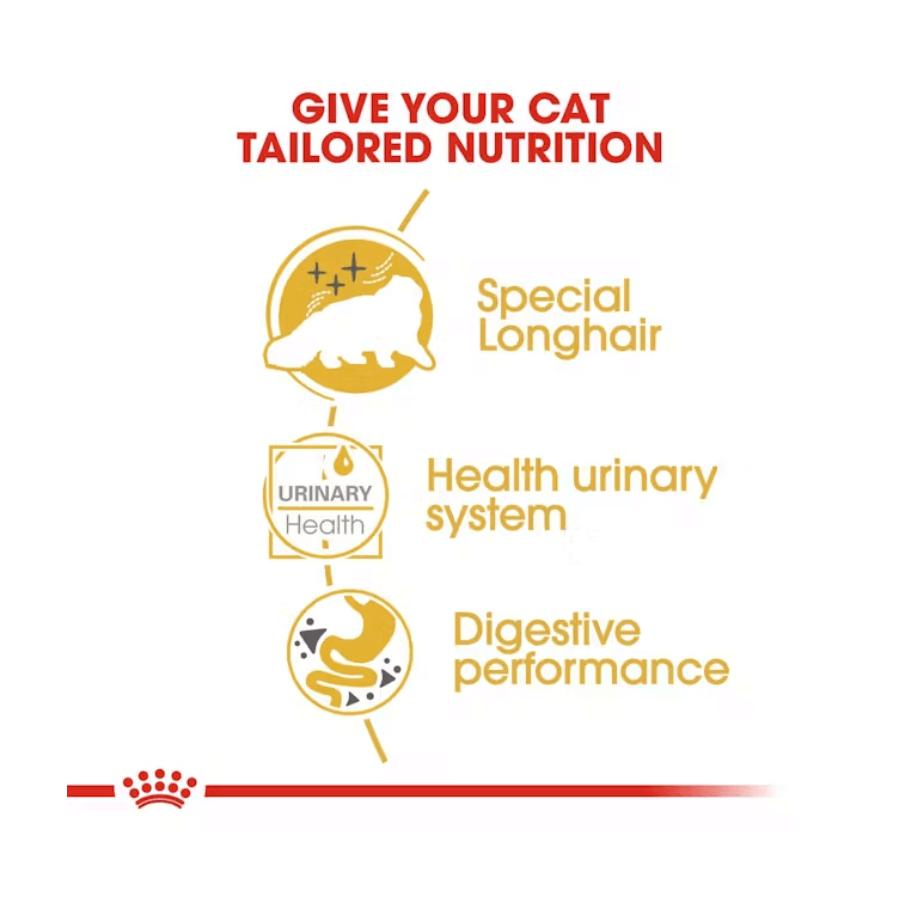 پوچ گربه رویال کنین مدل persian adult وزن 85 گرم