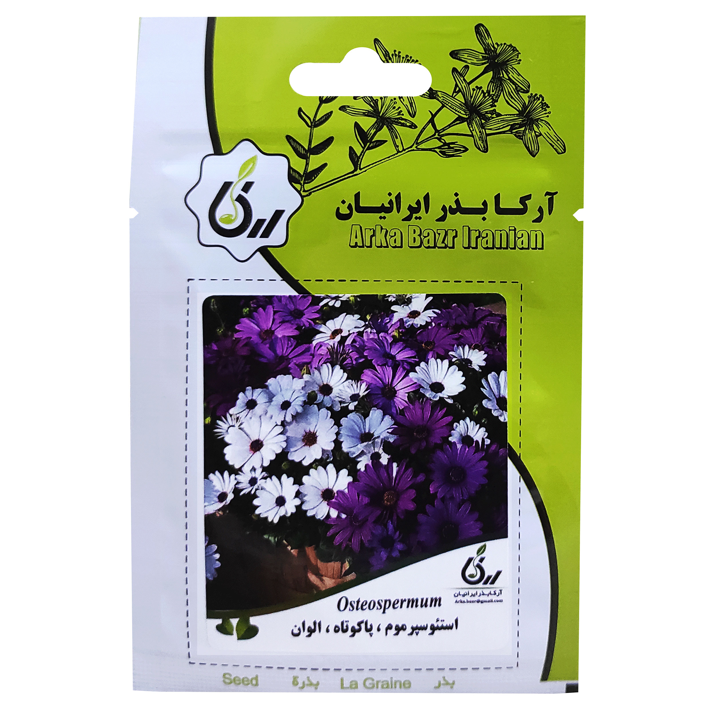 بذر گل است سپرموم پاکوتاه الوان آرکا بذر ایرانیان کد ARK-094