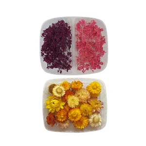 گل خشک مدل Mina400 مجموعه 2 عددی