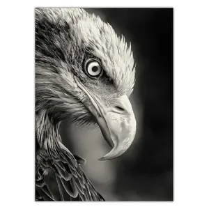 Wensoni Blacked Eagle Chassis Size 50 x 70 Cm