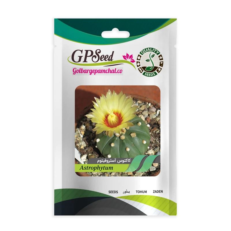 بذر کاکتوس آستروفیتوم گلبرگ پامچال کد GPF-181 