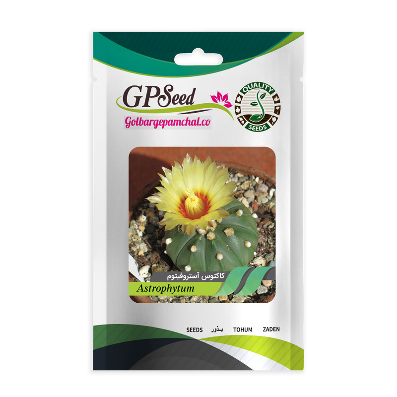 بذر کاکتوس آستروفیتوم جی پی سید مدل GP11640
