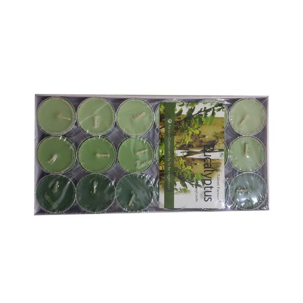 شمع وارمر هپی شو مدل Eucalyptus بسته 36 عددی شمع وارمر هپی شو مدل Eucalyptus بسته 36 عددی