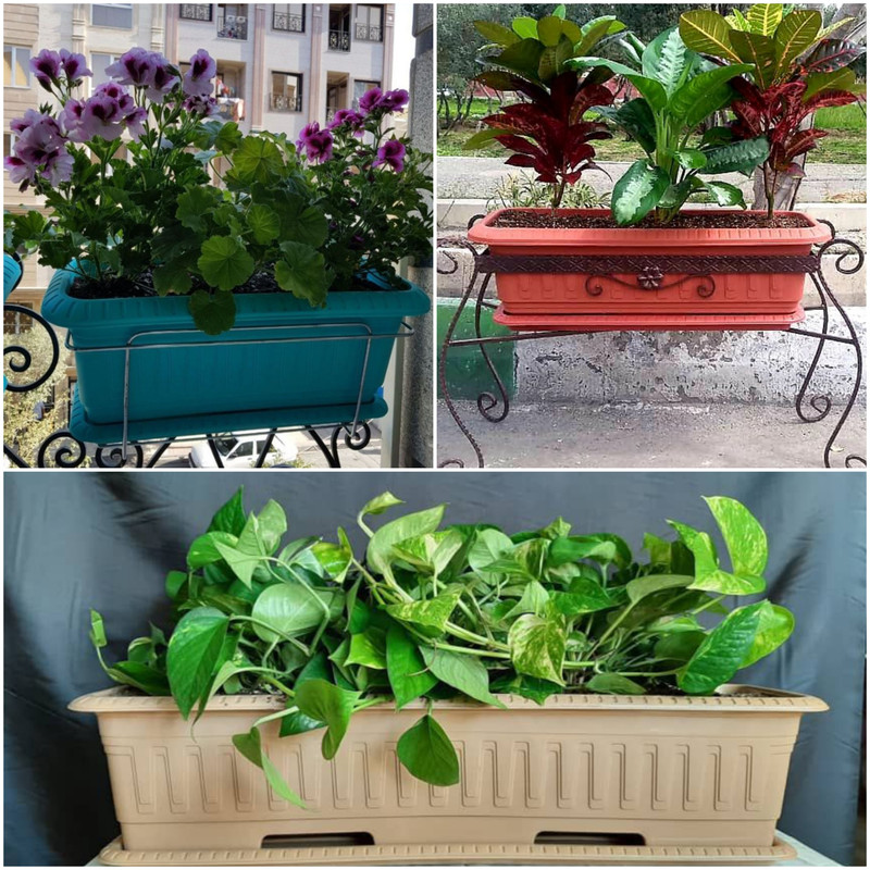 گلدان مدل مستطیلی کد 65 گلدان مدل مستطیلی کد 65