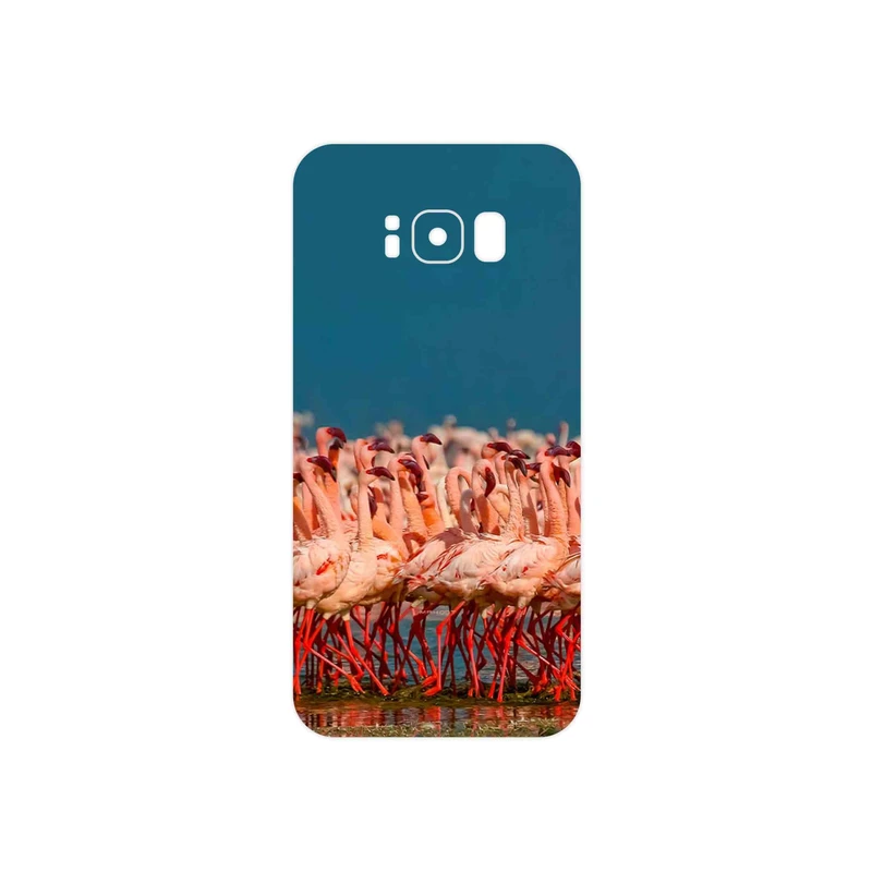 برچسب پوششی ماهوت مدل Flamingo مناسب برای گوشی موبایل سامسونگ Galaxy S8
