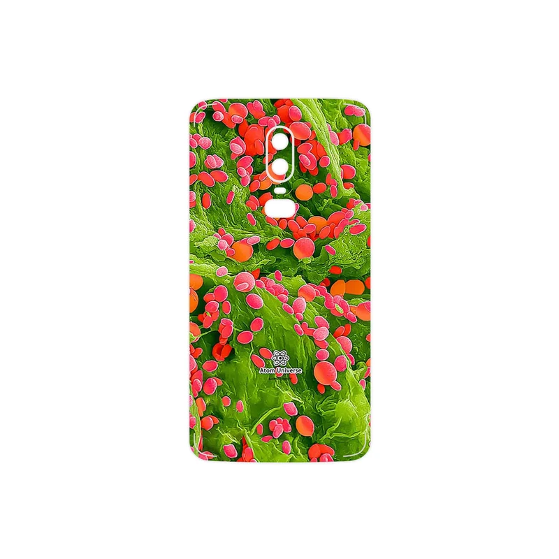 برچسب پوششی ماهوت مدل Atom Universe 3 مناسب برای گوشی موبایل وان پلاس 6