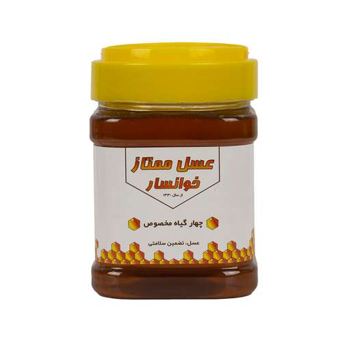 عسل چهار گیاه ممتاز خوانسار - 500 گرم 