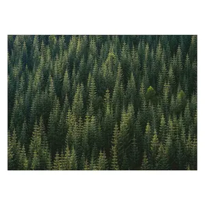 Wensoni Pines Squared Chassis 40 x 30