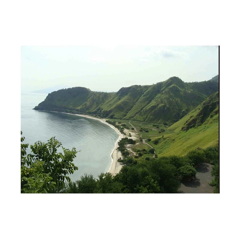 ماوس پد الینور مدل MPE93