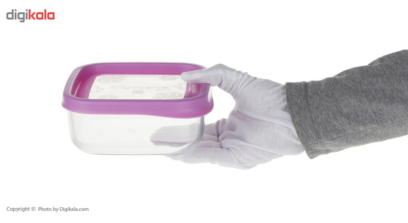 ظرف نگهدارنده فریگور کد 87870L