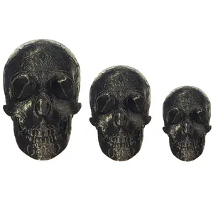 مجسمه مدل اسکلت 95 کد 1.1.5 مجموعه 3 عددی 