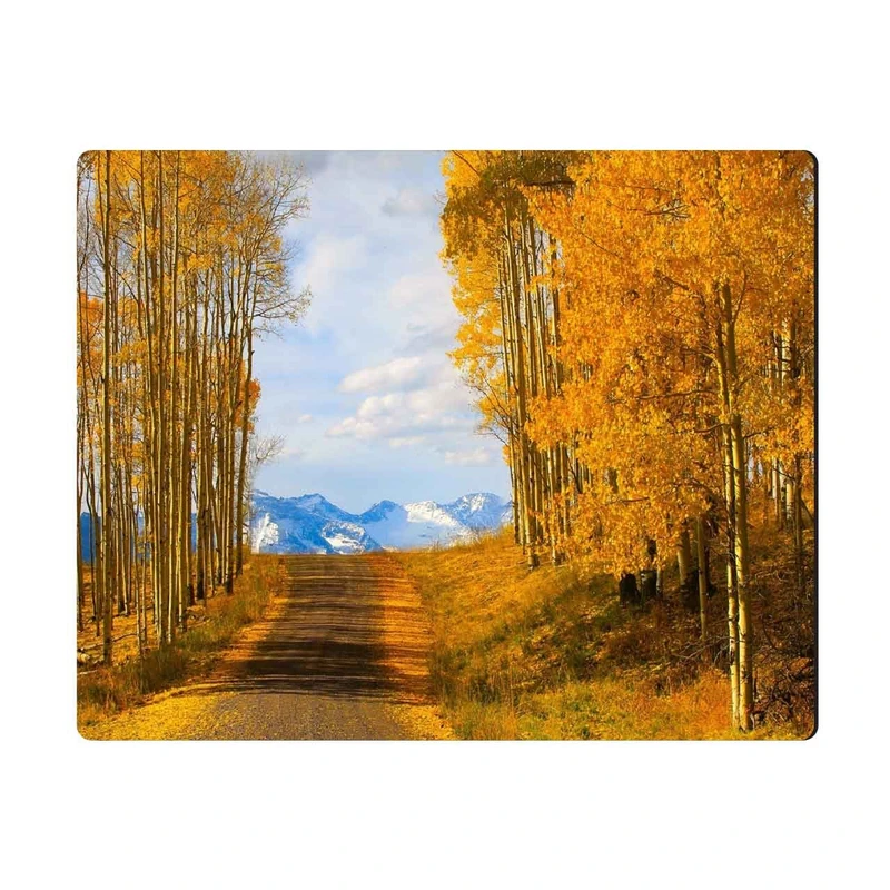 ماوس پد الینور مدل MPE202