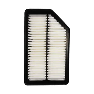 Hyundai Genuine Parts 281131R100 Air Filter