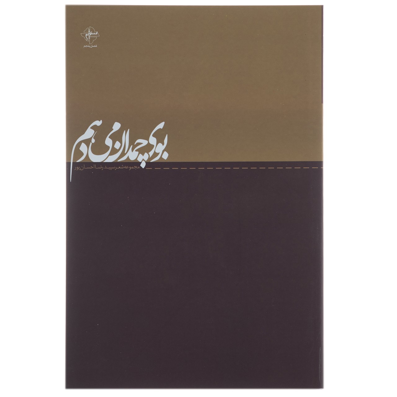 کتاب بوی چمدان می ‌دهم اثر رضا احسان‌ پور