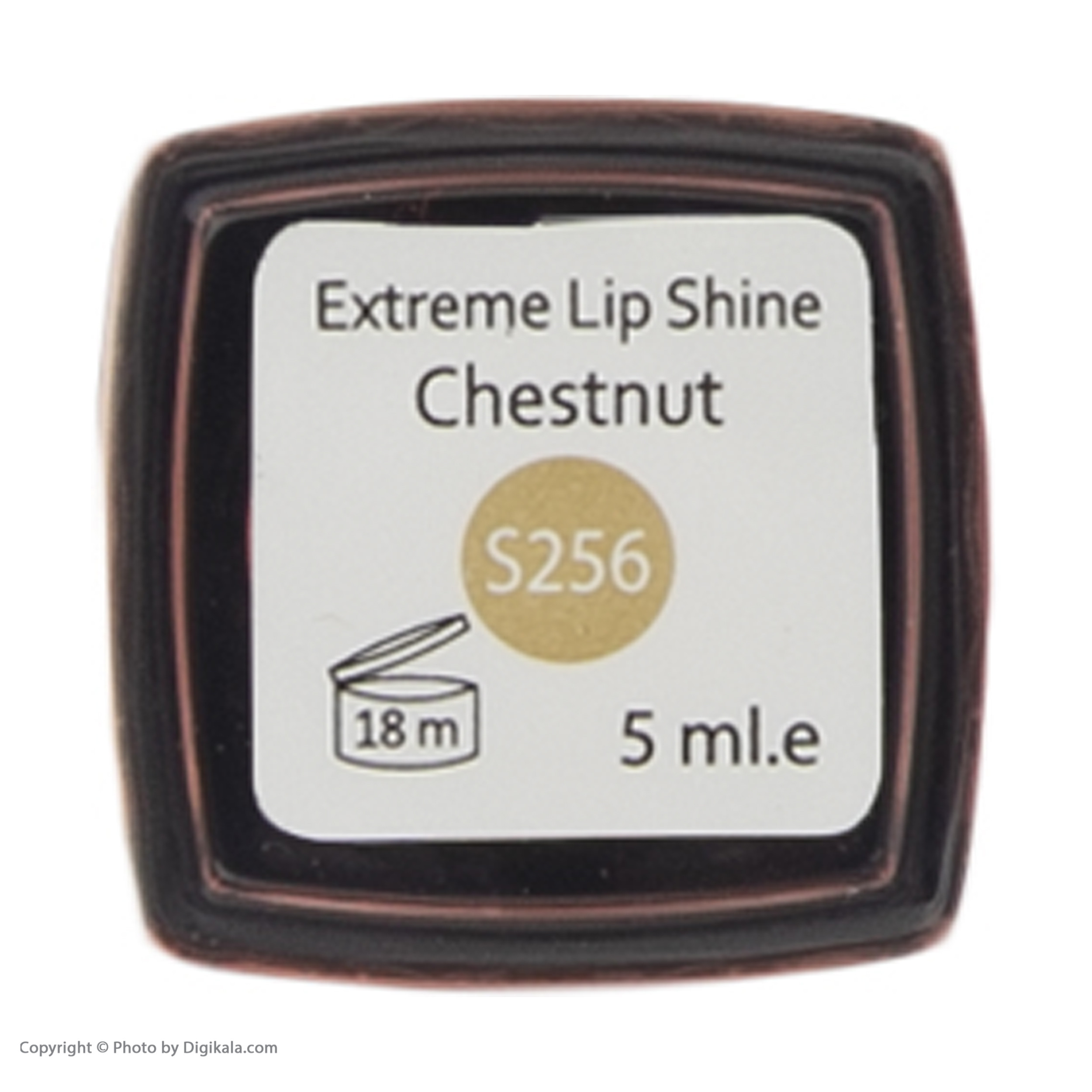 رژ لب مایع این لی مدل Chestunt شماره S256 رژ لب مایع این لی مدل Chestunt شماره S256