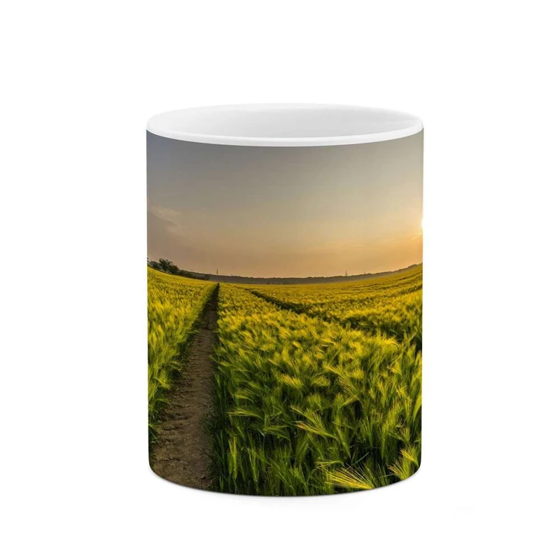 ماگ کاکتی مدل منظره کد mgh16557