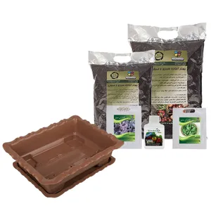 مجموعه کاشت سبزی ریحان گلباران سبز