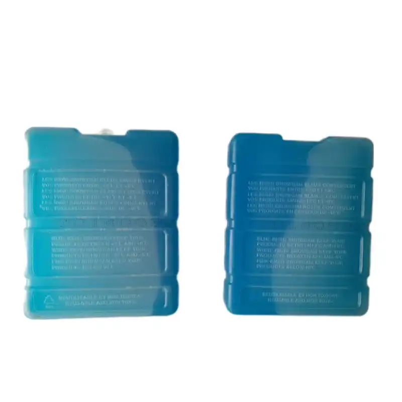 یخ خشک سفری مدل sofigram 600 gr مجموعه 2 عددی