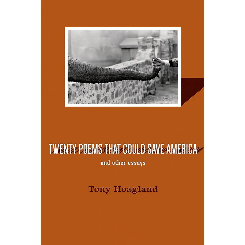 کتاب Twenty Poems That Could Save America and Other Essays اثر Tony Hoagland انتشارات Graywolf Press