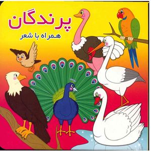 نقد و بررسی کتاب پرندگان همراه با شعر اثر معصومه سلمان توسط خریداران