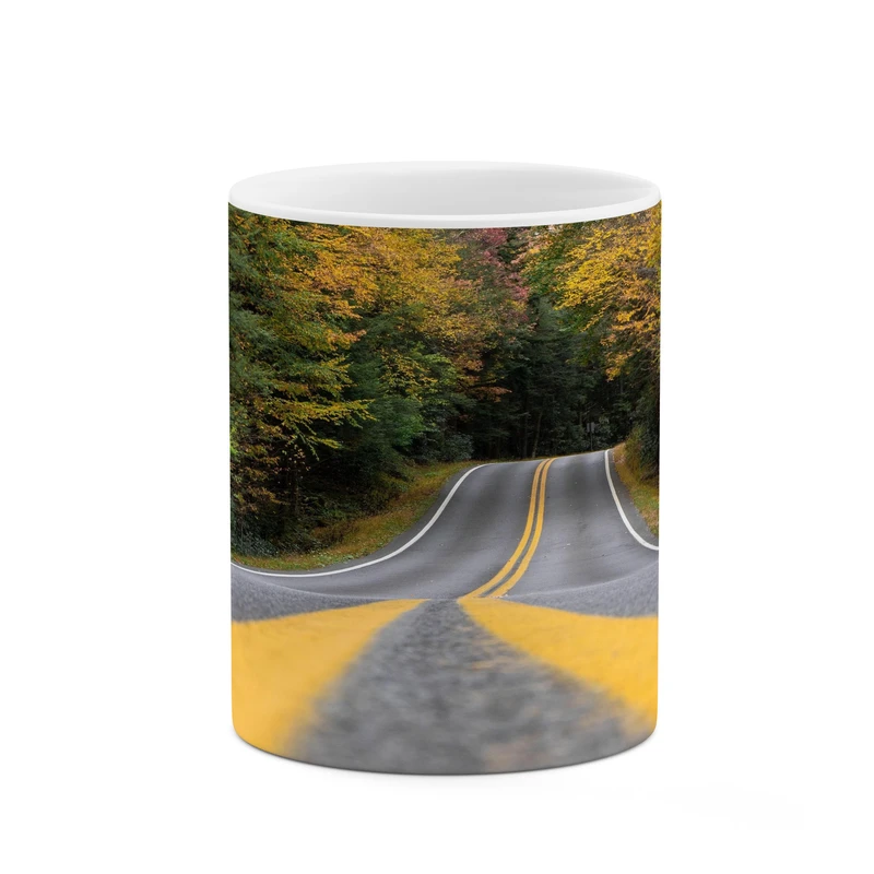 ماگ کاکتی مدل جاده کد mgh17307