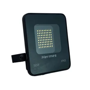پروژکتور 50 وات هرمس مدل SMD - IP65