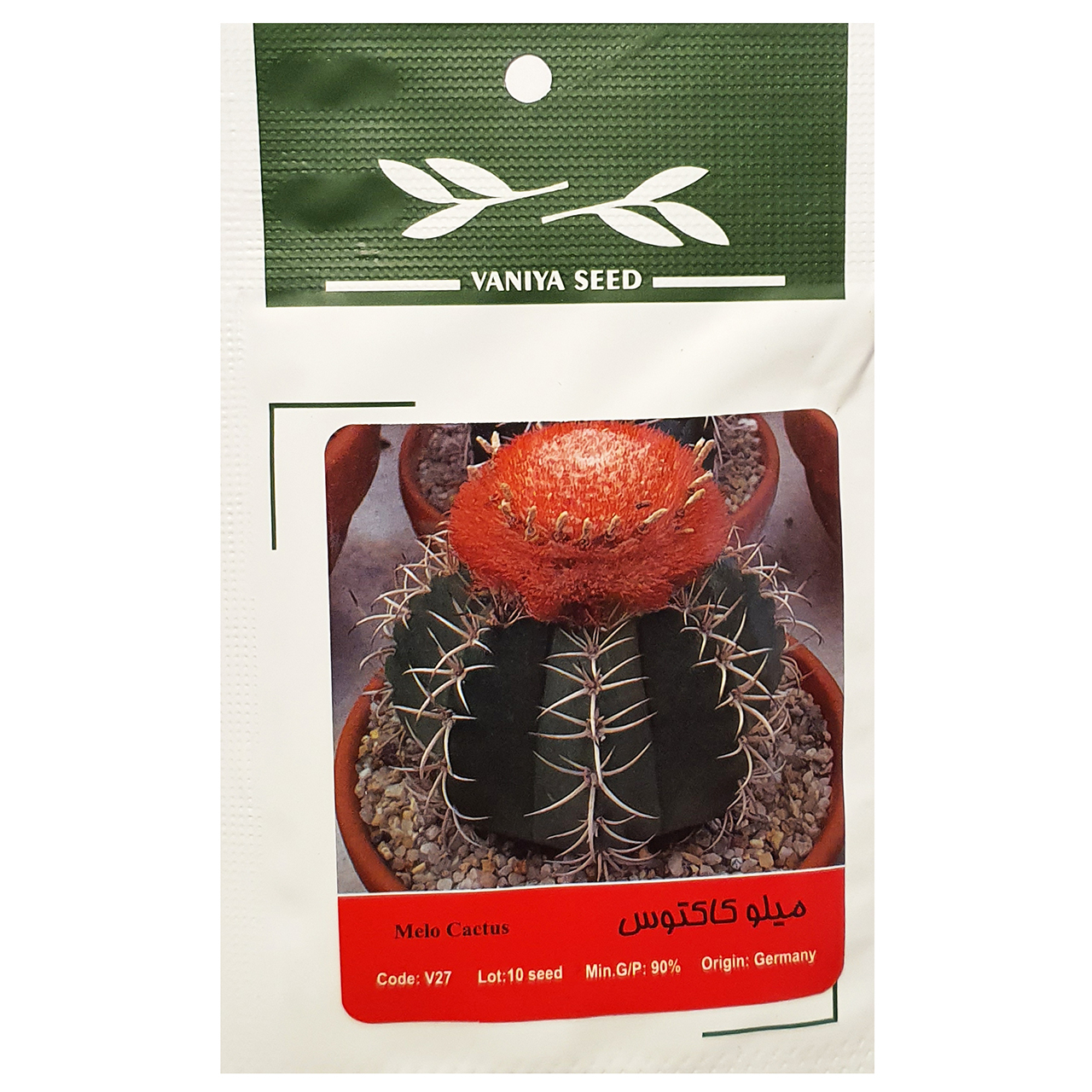 بذر میلو کاکتوس وانیا سید مدل A-005