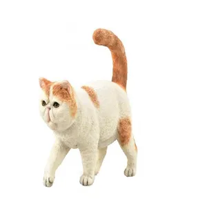 فیگور مدل گربه مو کوتاه اگزوتیک