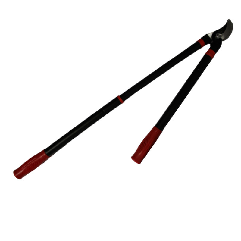 قیچی شاخه زن رانگ مدل تلسکوپی