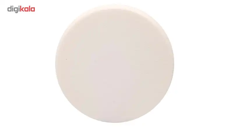 پد گلدن فیشر مدل 18007 بسته 2 عددی