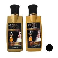 شامپو رنگ مو لانا مدل B_Keratin حجم 120 میلی لیتر رنگ مشکی مجموعه 2 عددی