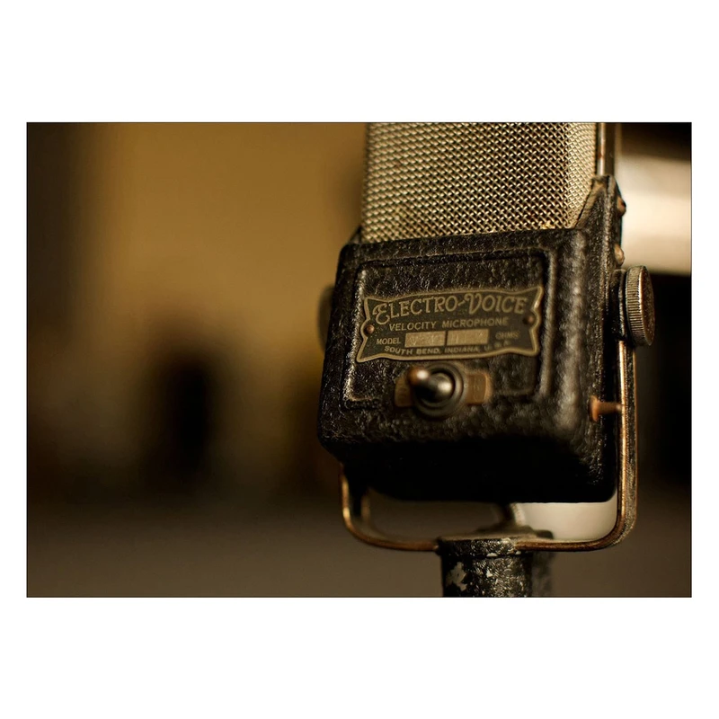 تابلو شاسی ونسونی طرح Electro Voice Microphone سایز 30x40 سانتی متر