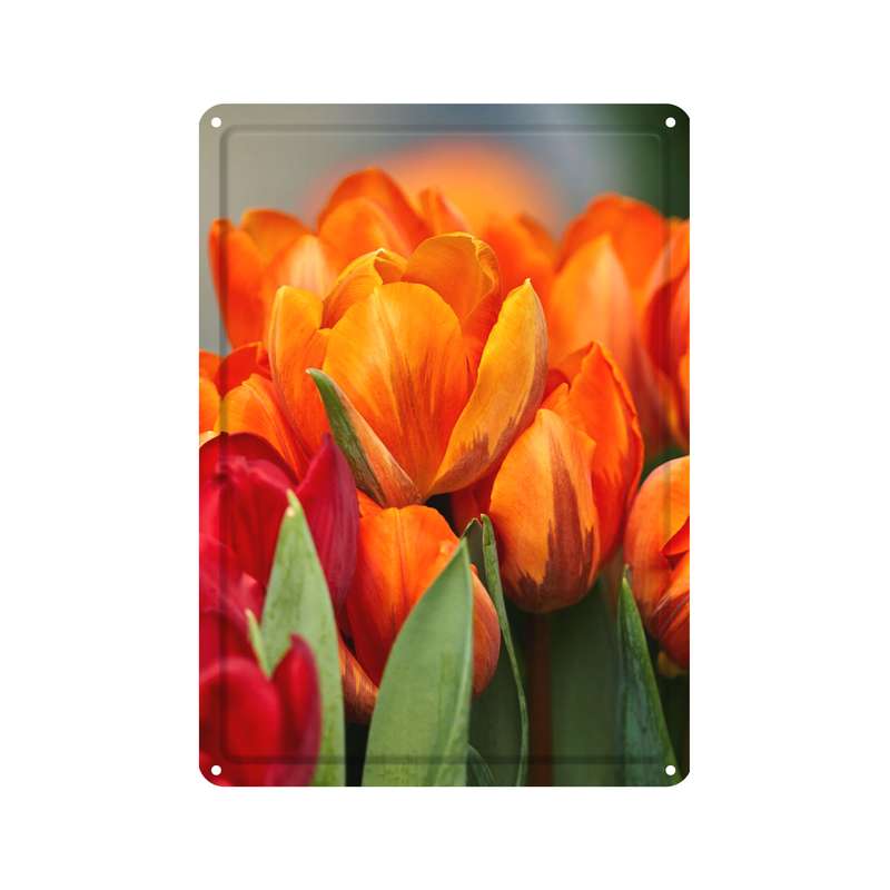 دیوارکوب مدل گل کد s 1706