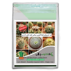 بذر اچینوفوسالوکاکتوس میکس گونه های با ارزش کاکتوسچی مدل AM-060