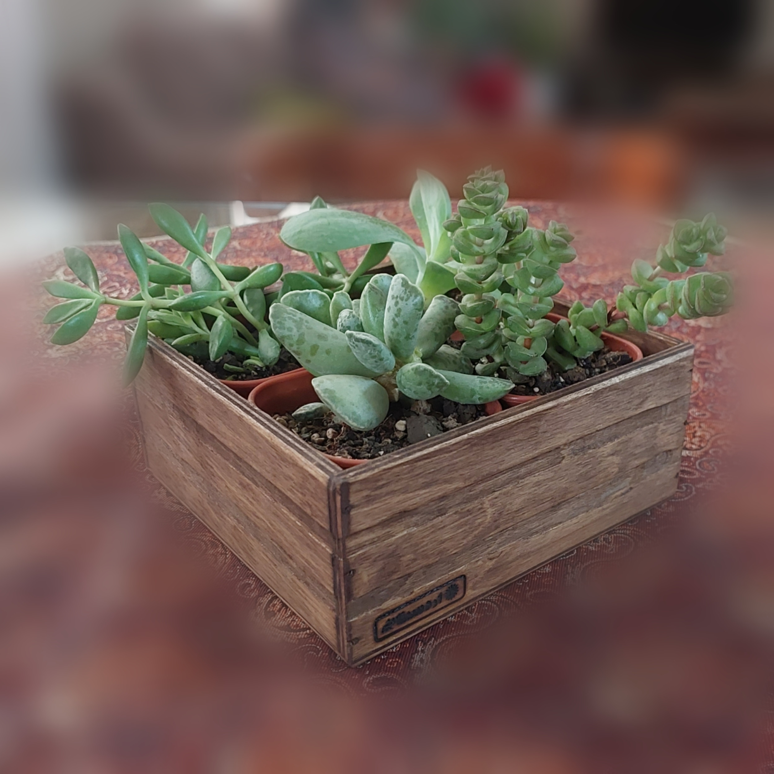 گلدان مدل 44