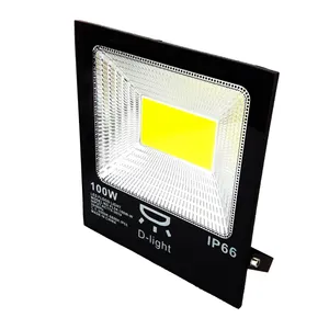 پروژکتور 100وات دی لایت مدلip66