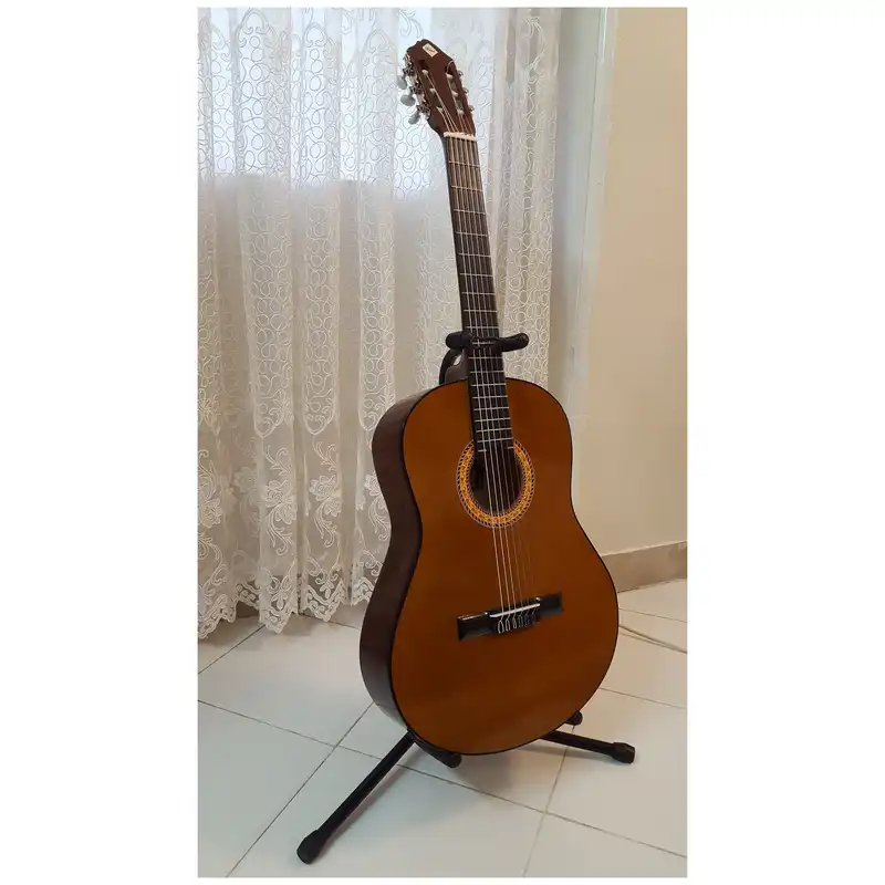 گیتار پرنسس مدل C40